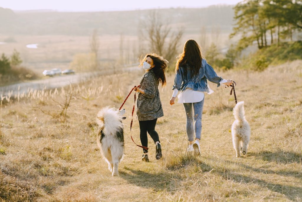 Take your dogs for a hike as a fun and adventurous quarantine date